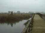 Área recreativa de Las Doblas, junto al Guadiamar. Fotografía posterior del entorno general, sin localizar el punto exacto del relato.